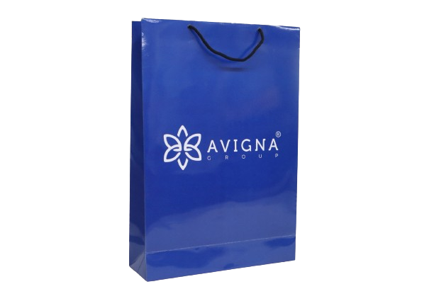 Carry Bag 4